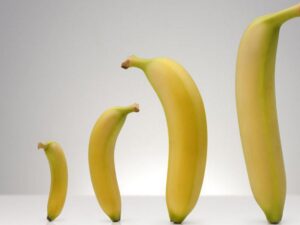 how to enlarge your penis naturally