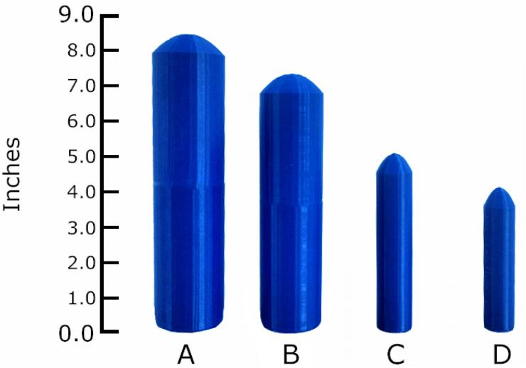 penis sizes
