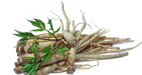 Entengo and mulondo-kicuaba Pretoria