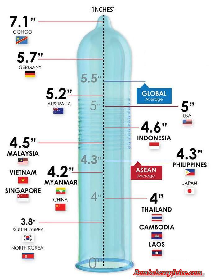 average penis sizes around the world