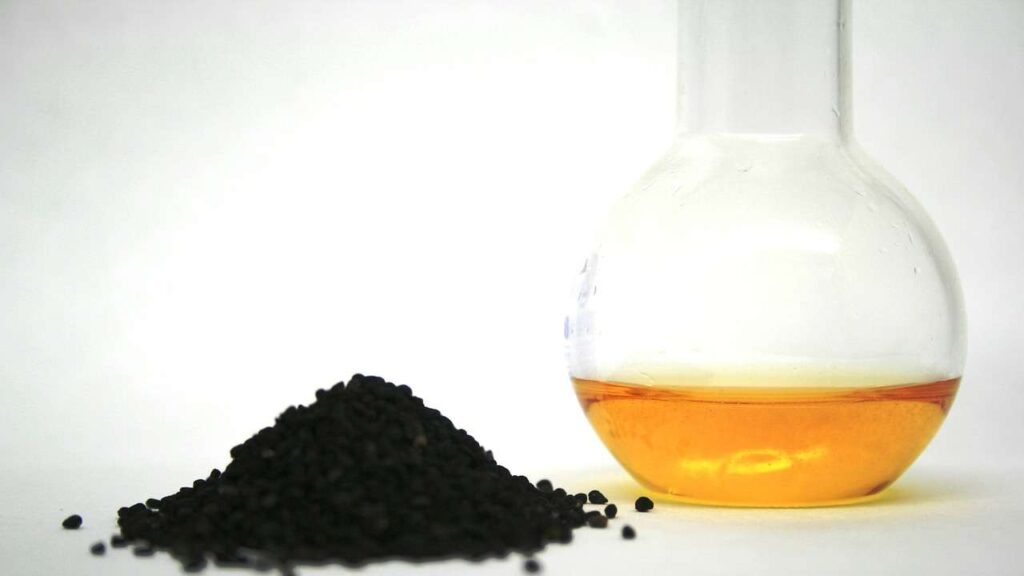 Black seed oil dischem