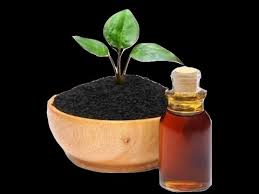 how to use mutuba seed