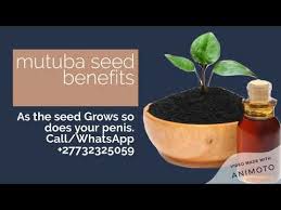 mutuba seed wikipedia