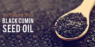 Black seed oil side effects kidney