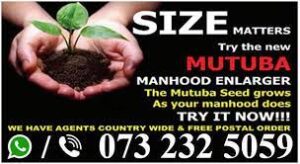 Where to get mutuba seed