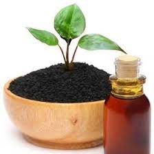 Mutuba seed side effects