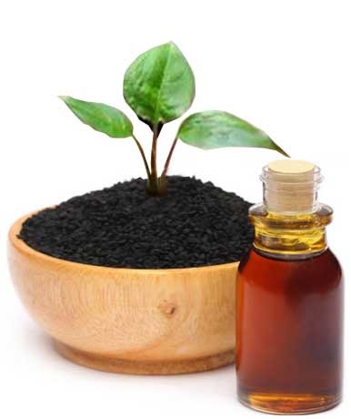 Mutuba seed oil