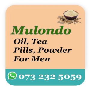 Mulondo